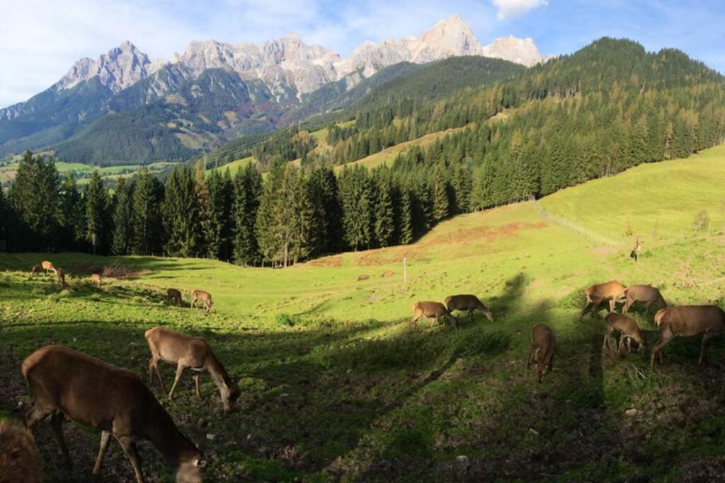 Sunny Apartment Maria Alm Zewnętrze zdjęcie